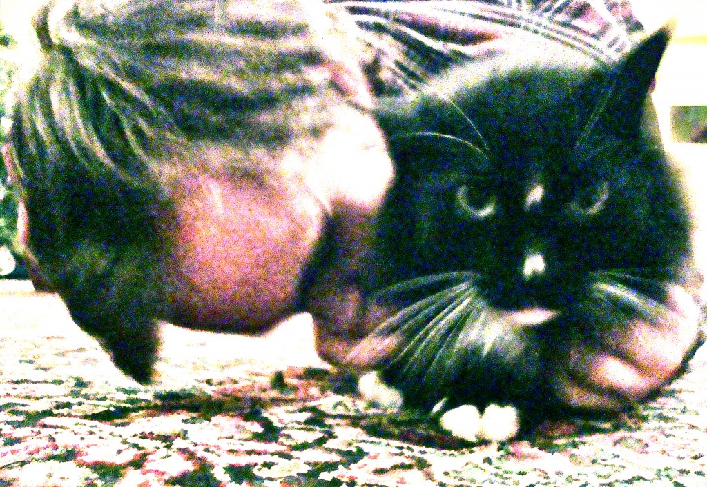 love