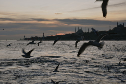 bosphorus